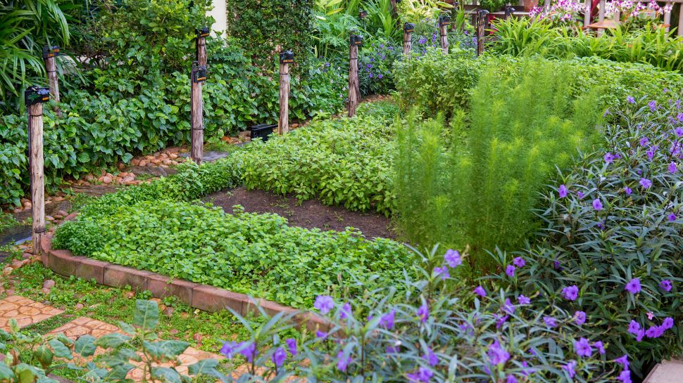 The Peninsula Bangkok