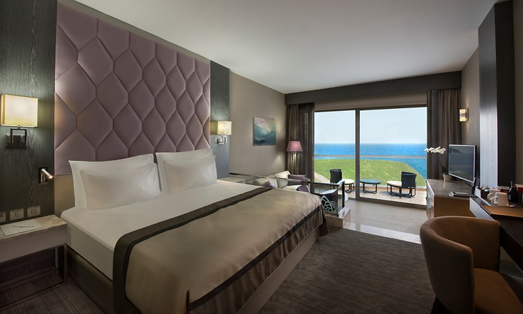 Elexus-Hotel-Resort-Casino-Oda-82866 Elexus Resort & Spa  Casino