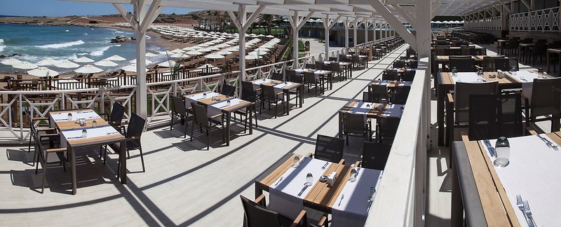 Elexus-Hotel-Resort-Casino-Yeme-Icme-81781 Elexus Resort & Spa  Casino
