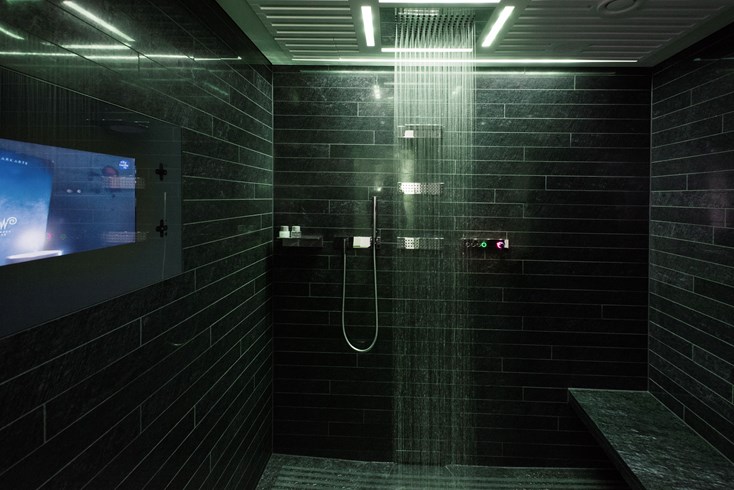 lw1628_46808212_790x490 Widder Hotel Zurich