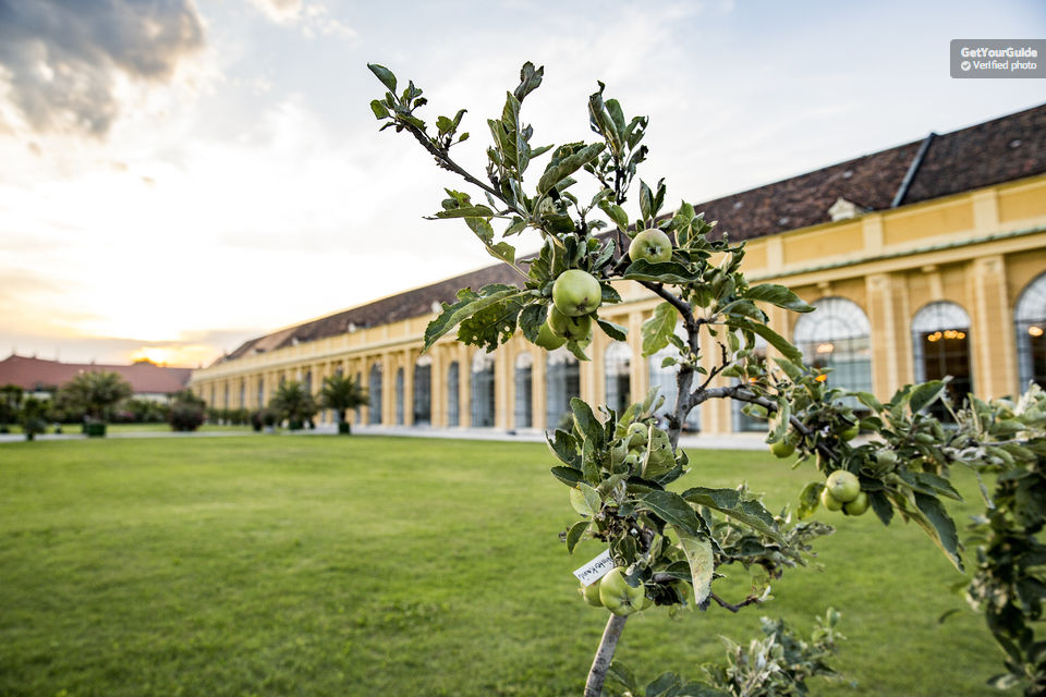 Vienna’s Schönbrunn Palace Orchestra Concert Ticket