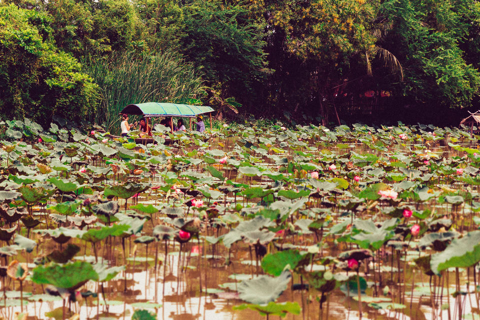Bangkok: Floating Market Private Boat Tour with a Local